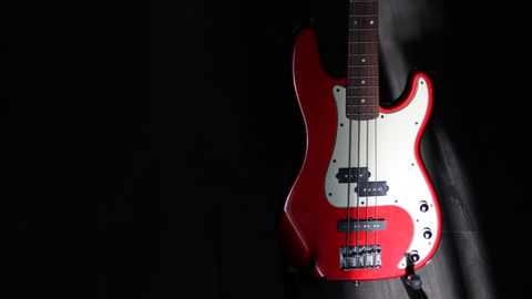 BASS GUITARS