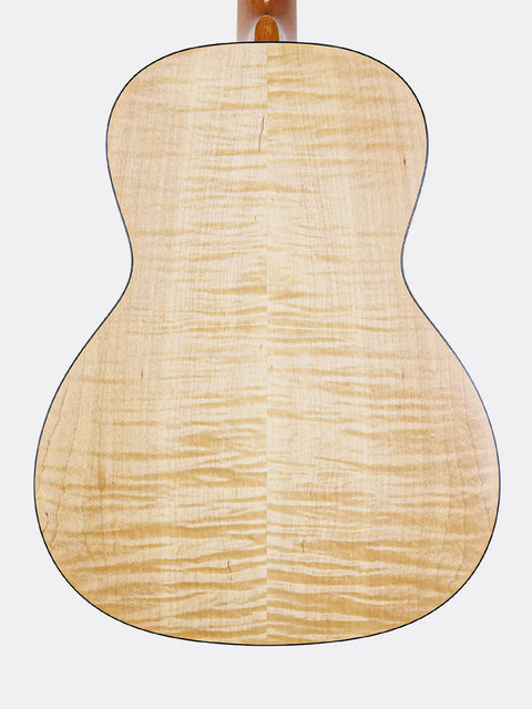 Close-up of a WL-14 Scissortail's wooden back on a white background