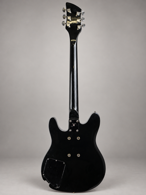 25121 Rickenbacker 230 Hamburg USA 1999 – full back