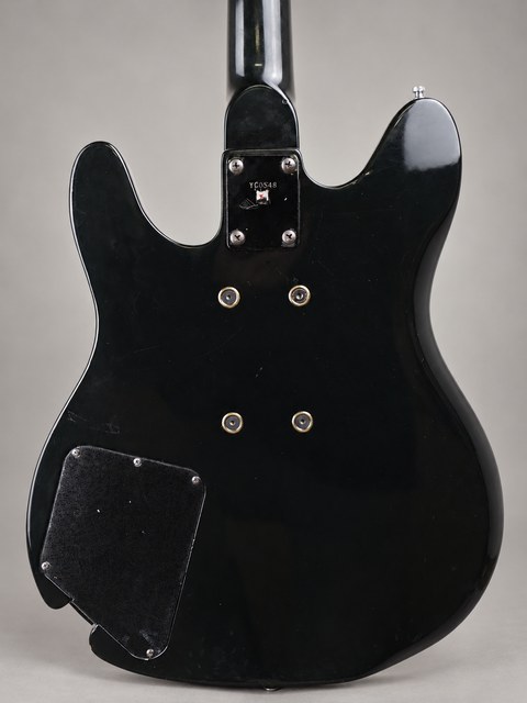 25121 Rickenbacker 230 Hamburg USA 1999 – back body close-up