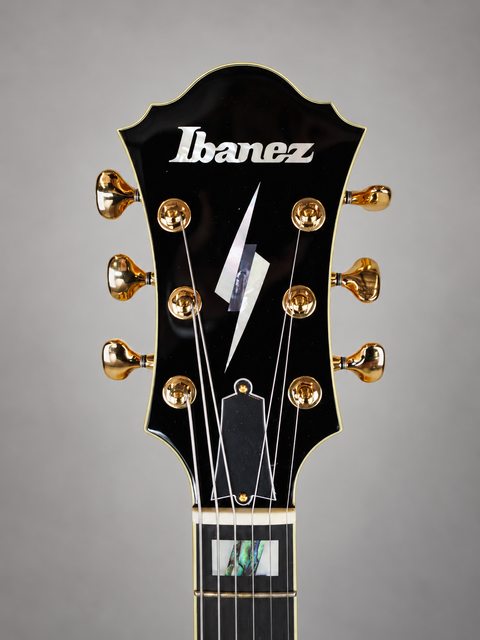 Ibanez PM200 Pat Metheny Signature - Japan 2023 — view 05