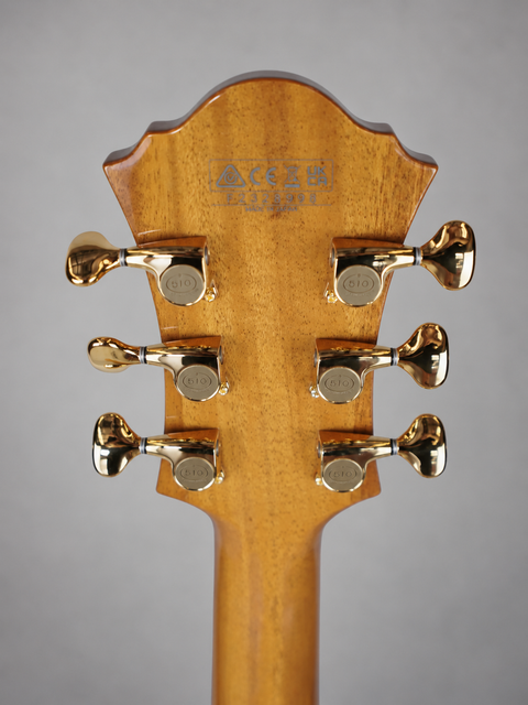 Ibanez PM200 Pat Metheny Signature - Japan 2023 — view 06