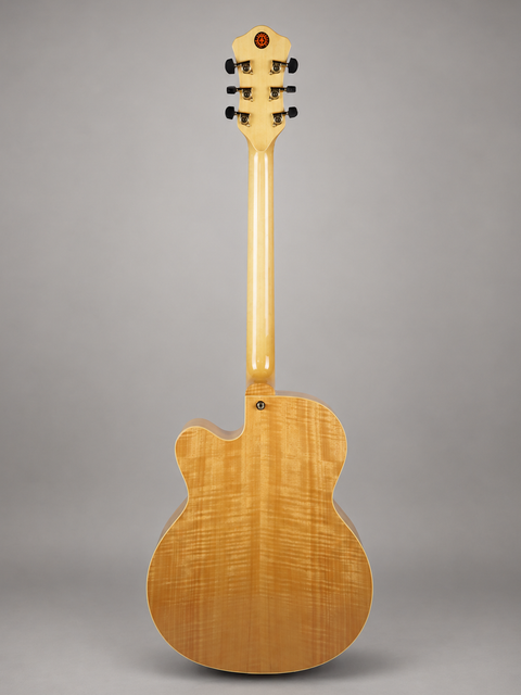 Hofner Jassica Custom Blonde - Germany 2012 — full rear view