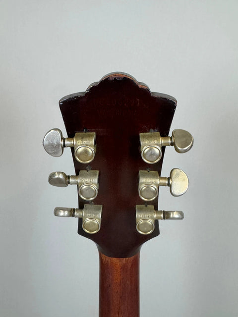 Vintage Guild D-40 - 1973