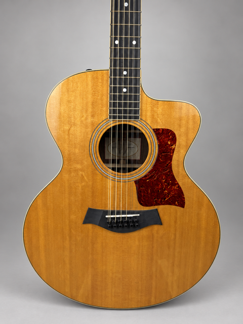 26234 26234 Taylor 455-RCE 12-String – front body detail