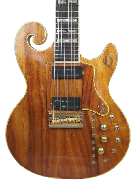 Sam Koontz Joe Cinderella Custom 8-String - USA 1980