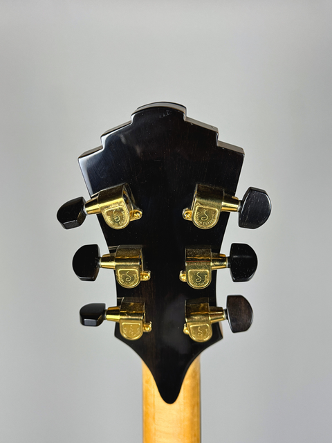 Eastman John Pisano AR880CE - CHN 2007
