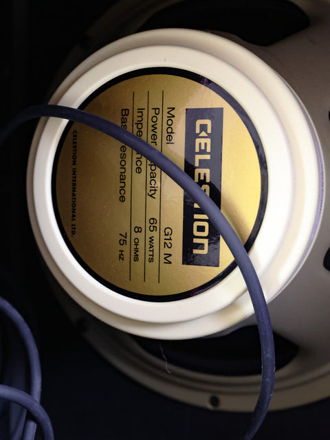Close-up of an Amplified Nation Wonderland Overdrive V2 speaker, showcasing its label and intricate design details.