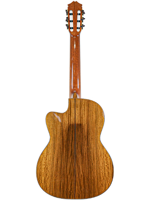 Back view of a wooden-bodied acoustic guitar, labeled "Robin Moyes Custom - Australia 2002," showcasing its craftsmanship.