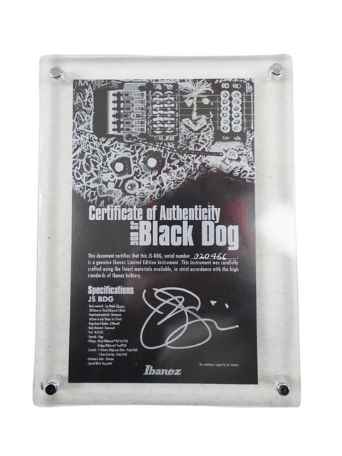 Black dog depicted with a certificate confirming authenticity of Ibanez Limited Edition Joe Satriani guitar, 1 of 88, Japan 2008.