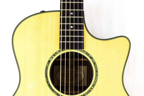Close-up shot of a Taylor Custom GS Baritone 6 guitar with a vibrant green and black pattern, made in the USA in 2011.