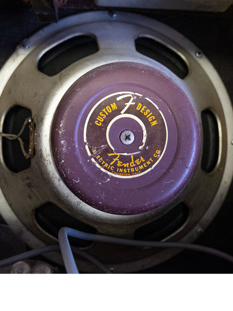 Detailed view of a 1961 Fender Brownface Pro Amp speaker showcasing a prominent purple label.