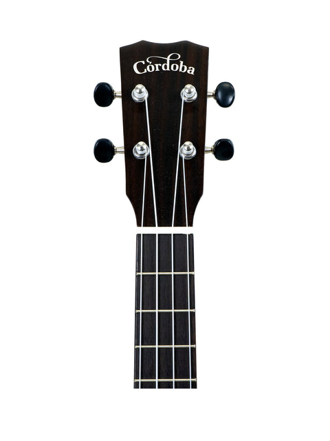Headstock and upper neck of a Cordoba guitar isolated on a white background.