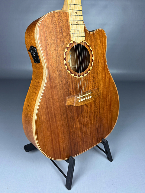 Cole Clark Fat Lady 2 FL2EC Blackwood – AUS 2022
