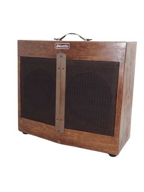 Amwatts Split Front 2 x 10" Combo - Aus