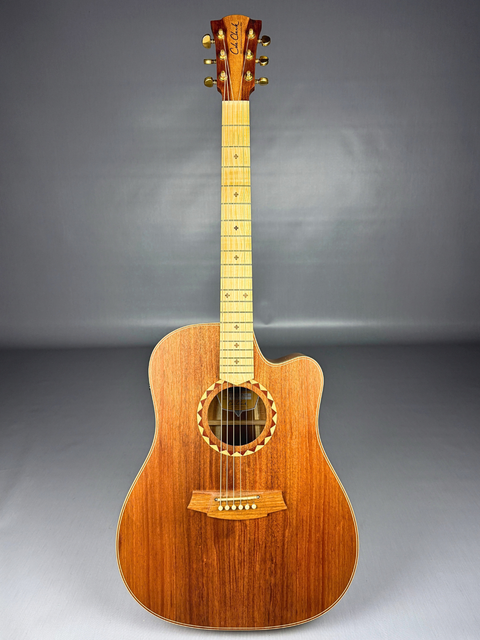Cole Clark Fat Lady 2 FL2EC Blackwood – AUS 2022