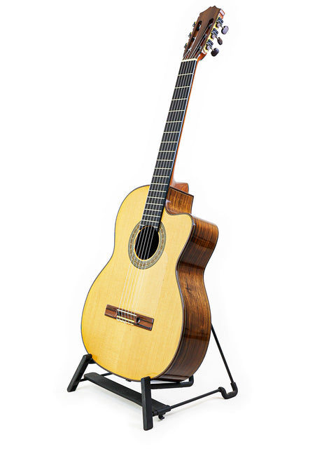 2002 Robin Moyes Custom guitar from Australia, showcased on a stand with a pristine white backdrop.