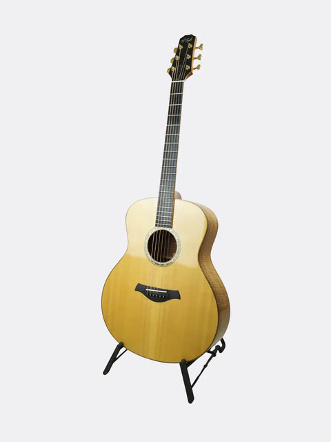 R. Taylor Style 1  guitar on a stand against a white background