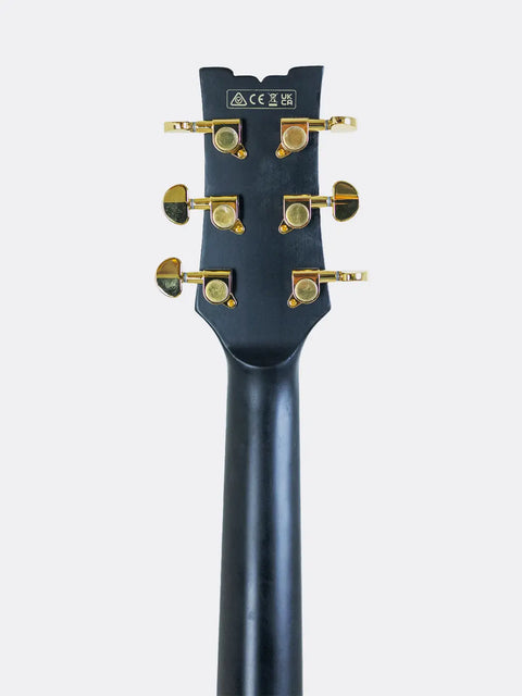 Ibanez JSM20-BKL John Scofield Signature - 2022