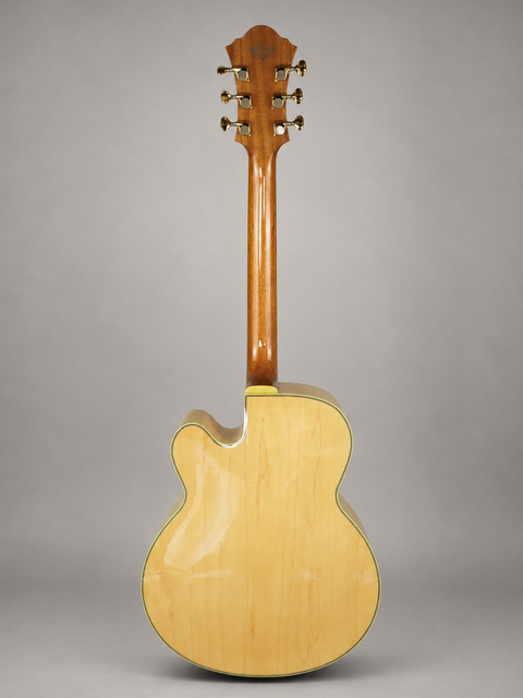 Ibanez PM200 Pat Metheny Signature - Japan 2023 — full rear view