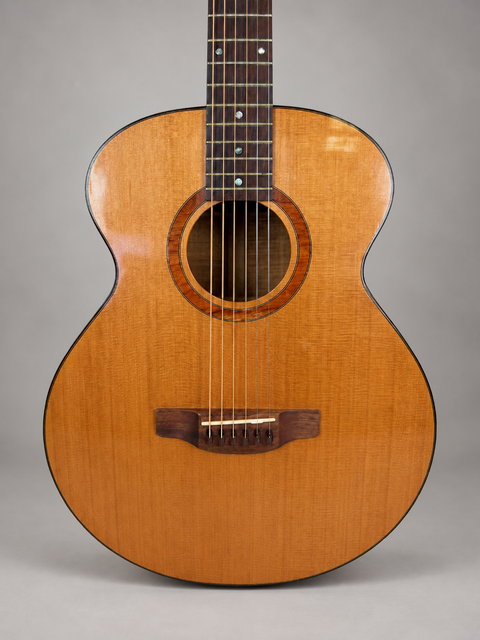 Gilet BMG (Blue Mountains Guitar) - Aus 2015 — view 2