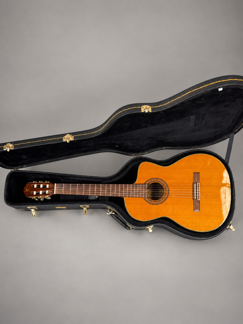 Takamine TC132SC - Japan 2007 — view 12