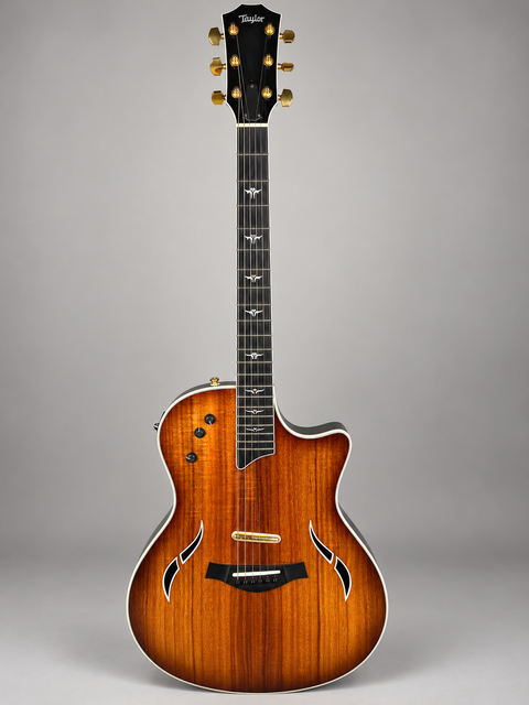 Taylor T5-C2 Custom Koa - USA 2005 — front view