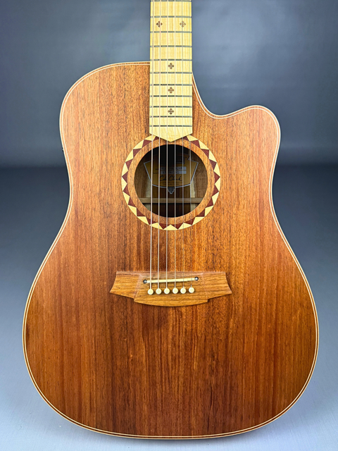 Cole Clark Fat Lady 2 FL2EC Blackwood – AUS 2022