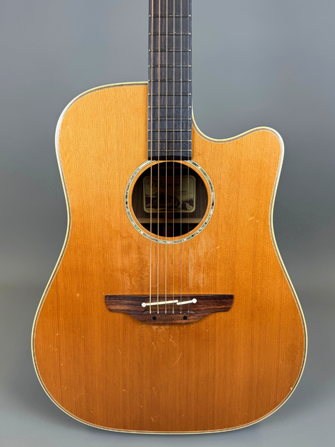 Takamine EAN15C - Japan 2000