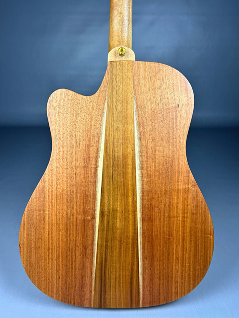 Cole Clark Fat Lady 2 FL2EC Blackwood – AUS 2022