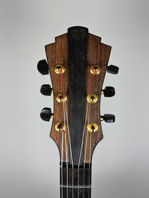Eastman John Pisano AR880CE - CHN 2007