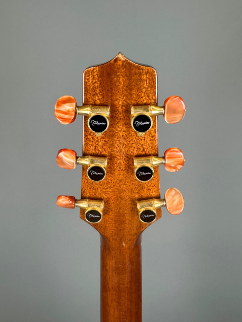 Takamine EAN15C - Japan 2000