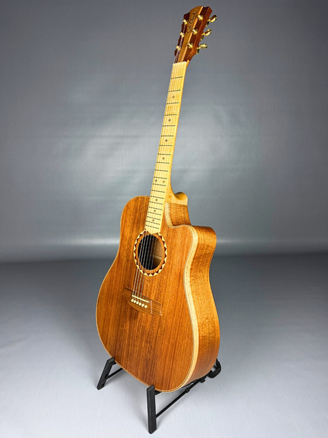 Cole Clark Fat Lady 2 FL2EC Blackwood – AUS 2022