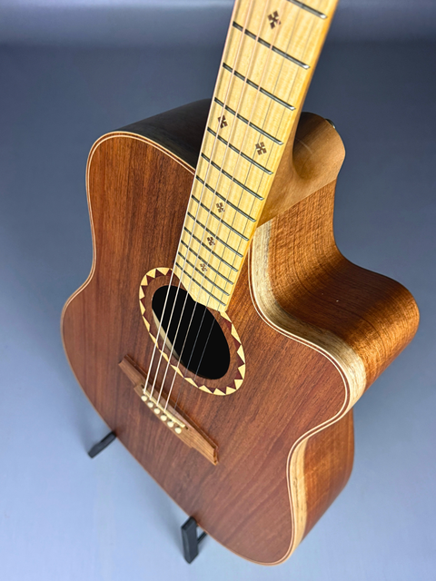 Cole Clark Fat Lady 2 FL2EC Blackwood – AUS 2022