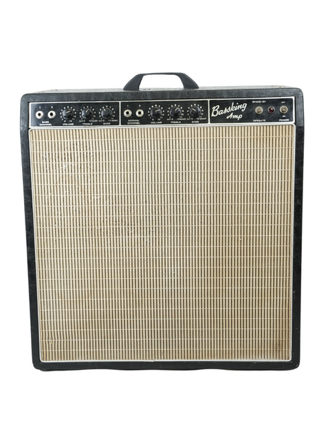 A classic 1969 Vintage Rex Bassking Combo Model BA200 amp displayed against a simple white backdrop.