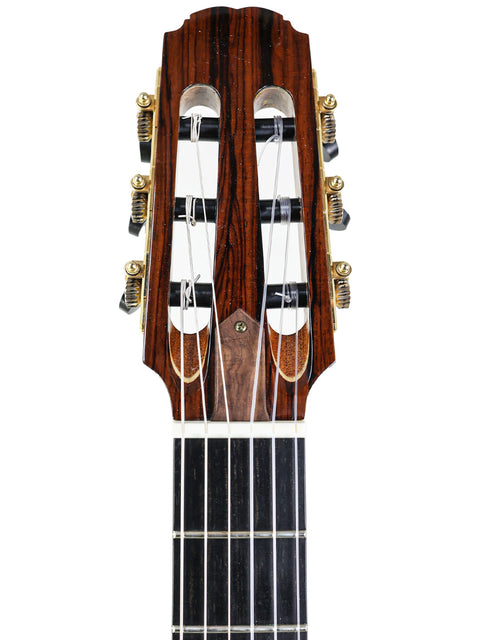 Close-up of a guitar headstock and neck with tuning pegs and fretboard visible.