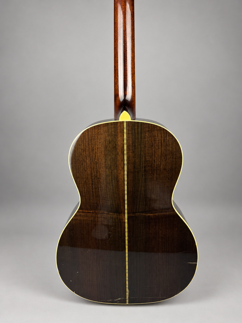 Recording King ROS-697 Century Collection Brazilian Rosewood - CHN 2009, photo 5 of 13