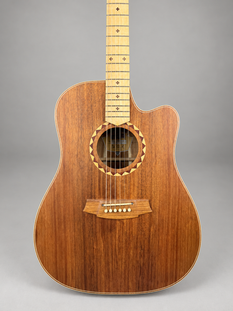 Cole Clark Fat Lady 2 FL2EC Blackwood - AUS 2022, photo 2 of 13