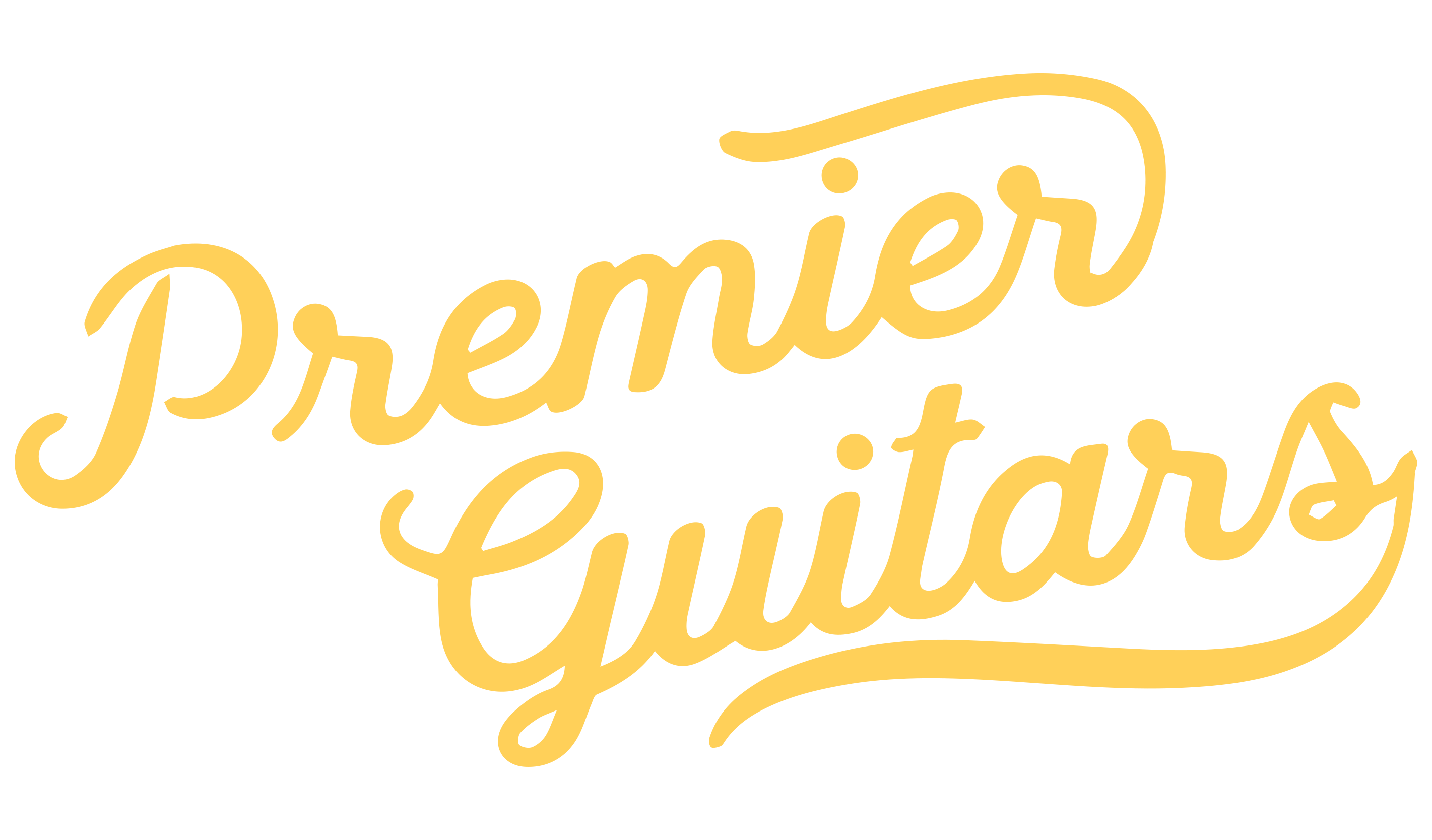 Premier Guitars