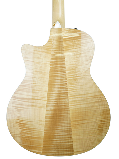 Taylor 616ce guitar (2011) featuring a stunning wooden back and neck, ideal for strumming your favorite tunes.
