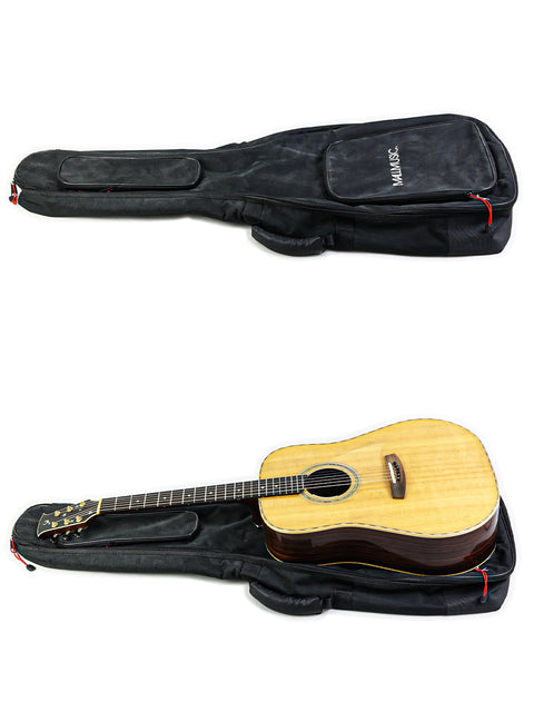 Two views of a guitar case and a guitar, showcasing their design and features. Jim Williams WD-40, Australia 2005.