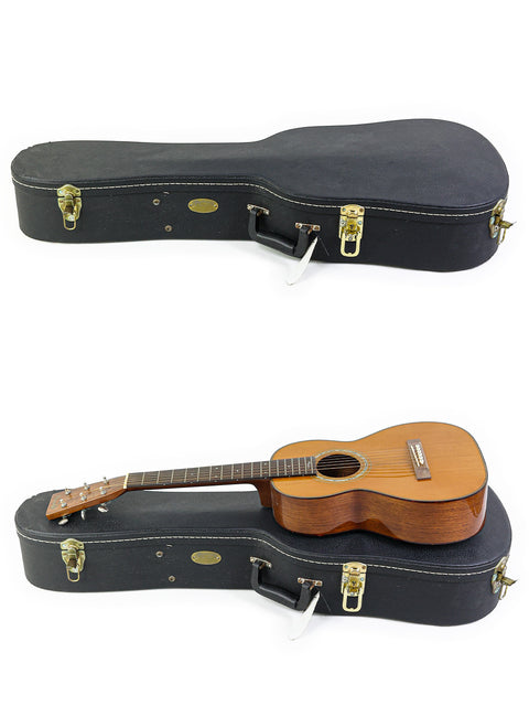 Visuals of a Martin Sting guitar case alongside a signed Mini Signature Edition guitar, #35 of 100, made in the USA, 2005.
