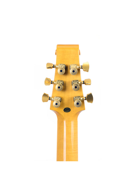 Burns Shadows 2005 Tour Guitars – UK 2005