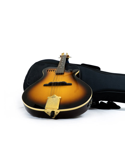 A black case supports a Godin A8 Mandolin from Canada, 2019, emphasizing the instrument's artistry and style.