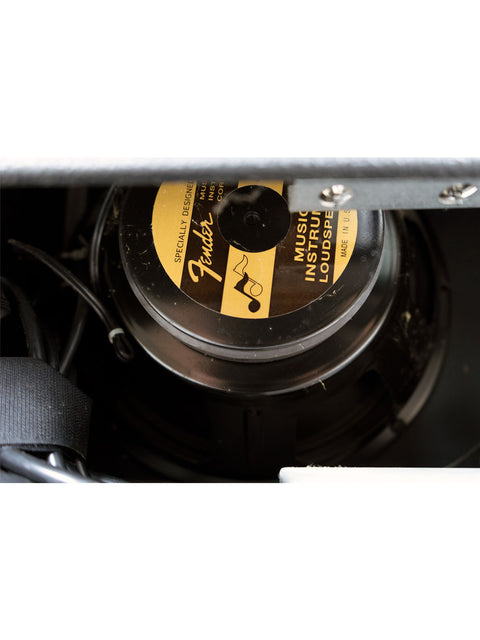 Close-up of a Fender guitar amplifier speaker inside a cabinet.