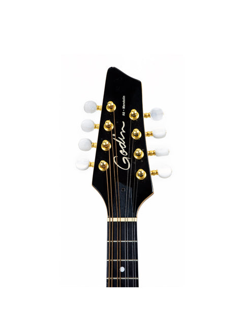 Close-up of a guitar headstock featuring the word "cobra," from a Godin A8 Mandolin, Canada, 2019.
