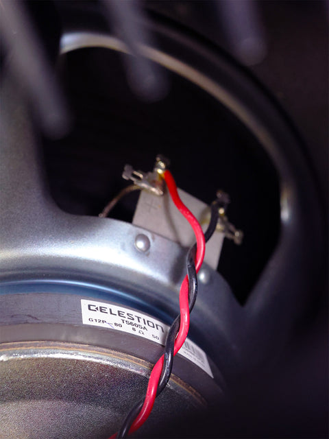 Detailed view of a Rivera Clubster Royal Recording speaker, featuring attached wires, highlighting its robust construction.